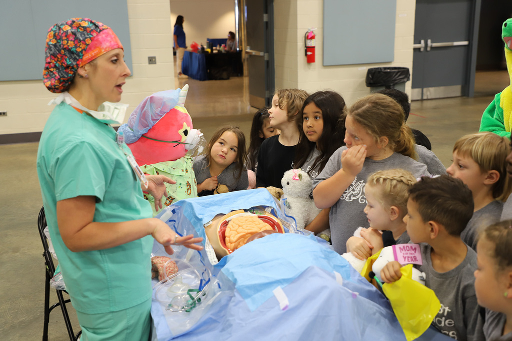 Teddy Bear Fair 2026 Photos