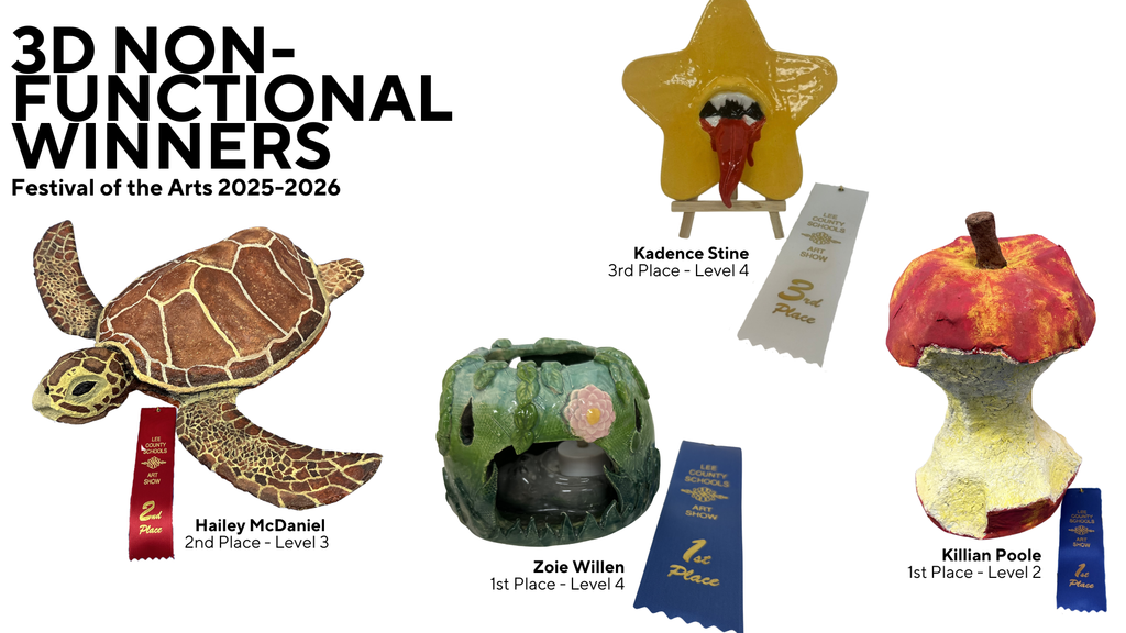 3D Non-Functional Winners