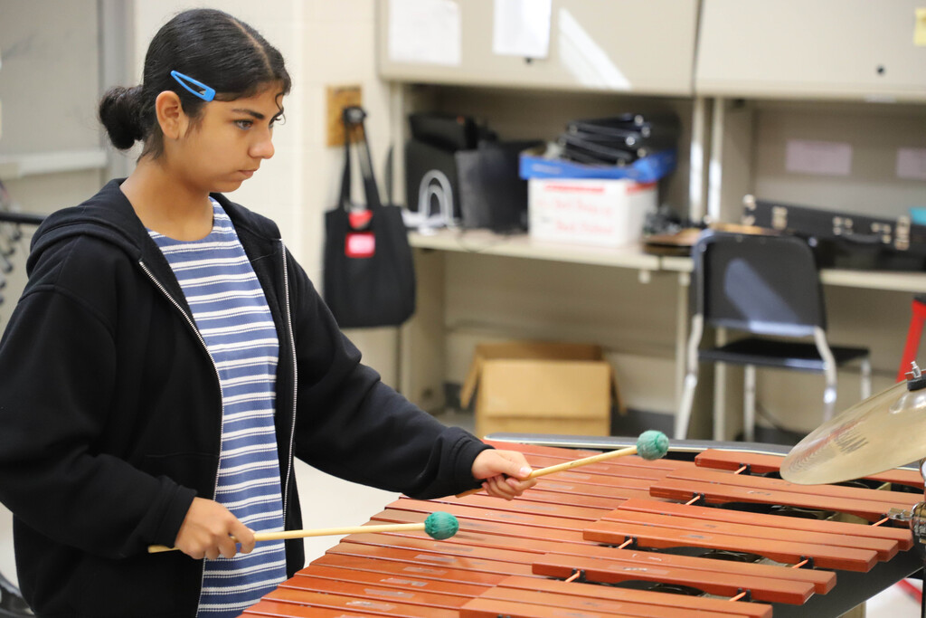 Arts in Schools Week