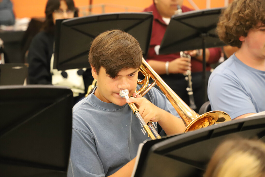 Arts in Schools Week