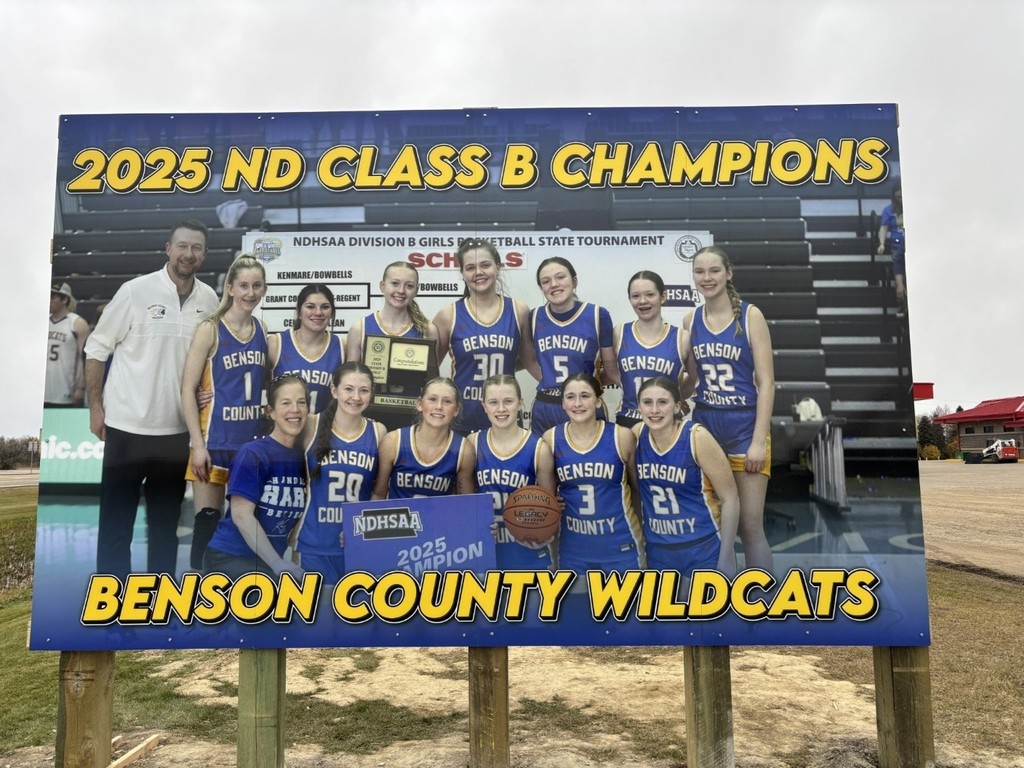 State girls basketball sign