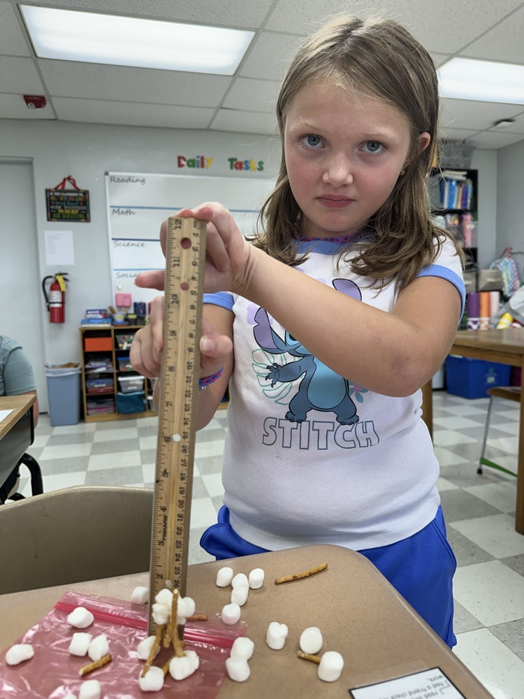 Third grade freestanding structure runner up