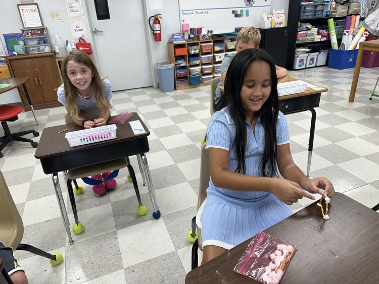STEM challenge