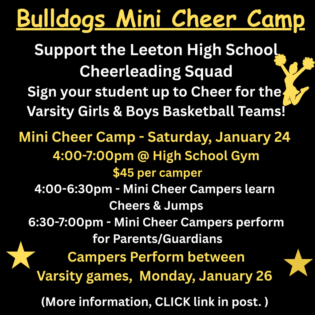 Mini Cheer Camp