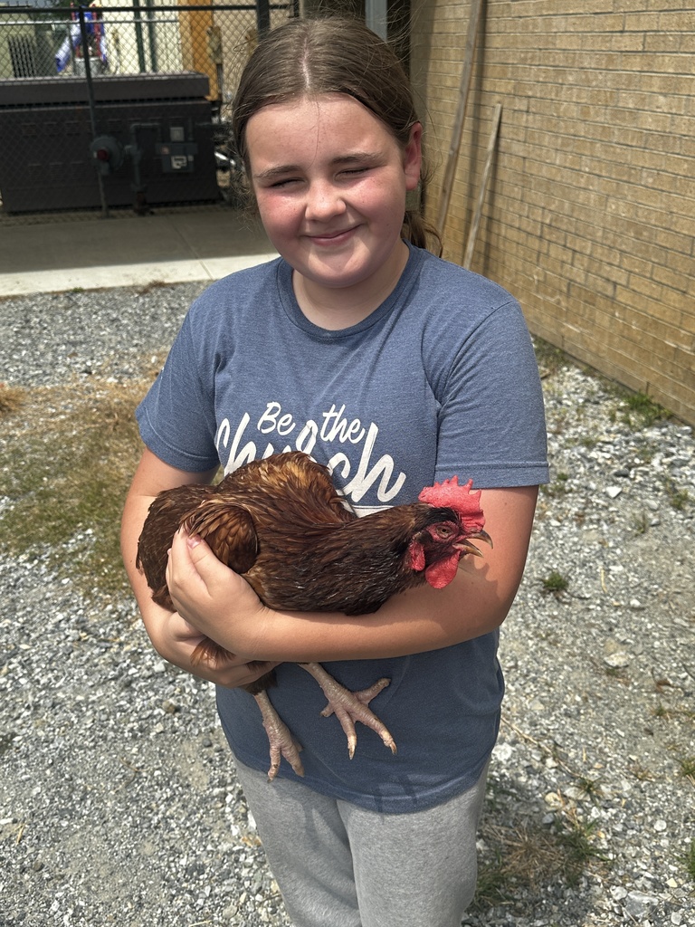 Student and Chicken