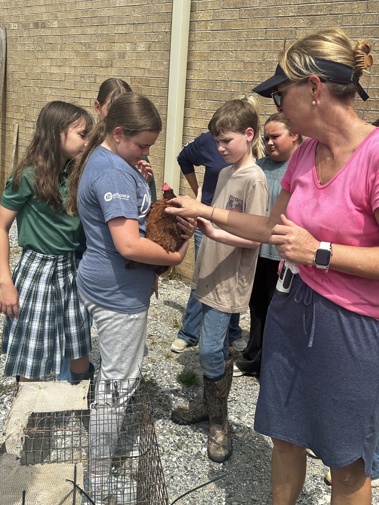 Students and the chicken