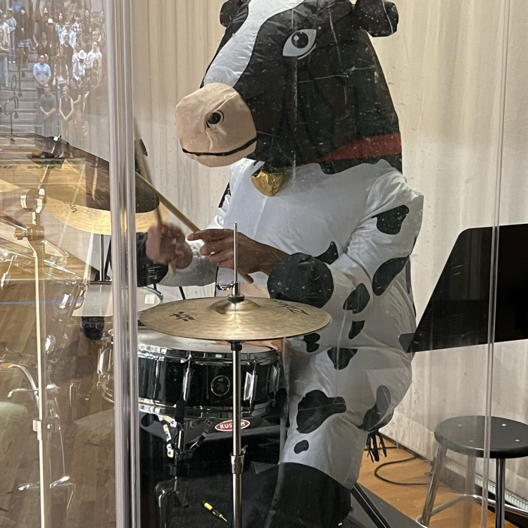 cow 