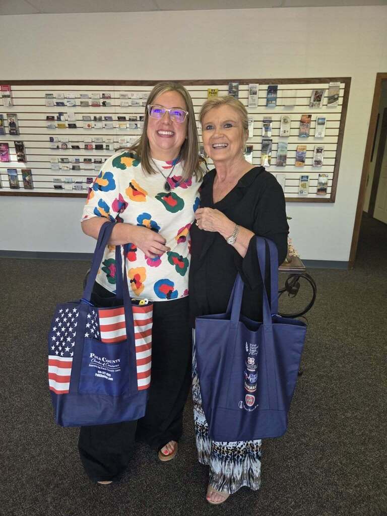 New Teacher Bags