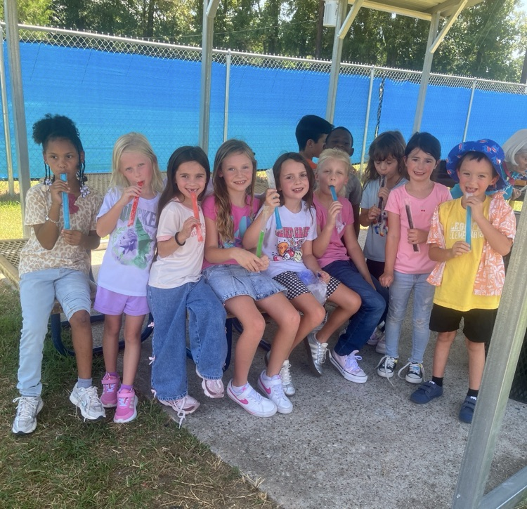 popsicles