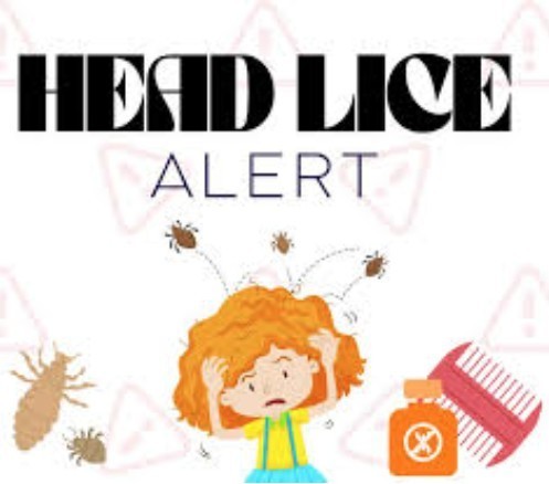 Head Lice Alert