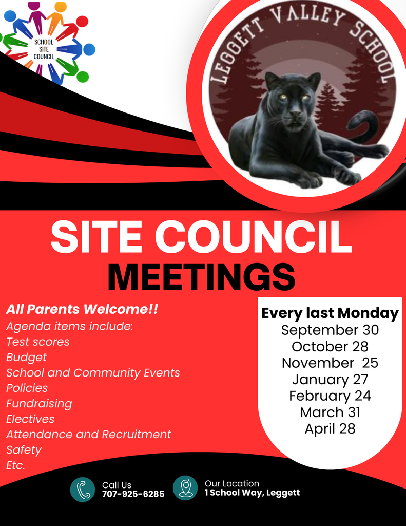 site councile flyer