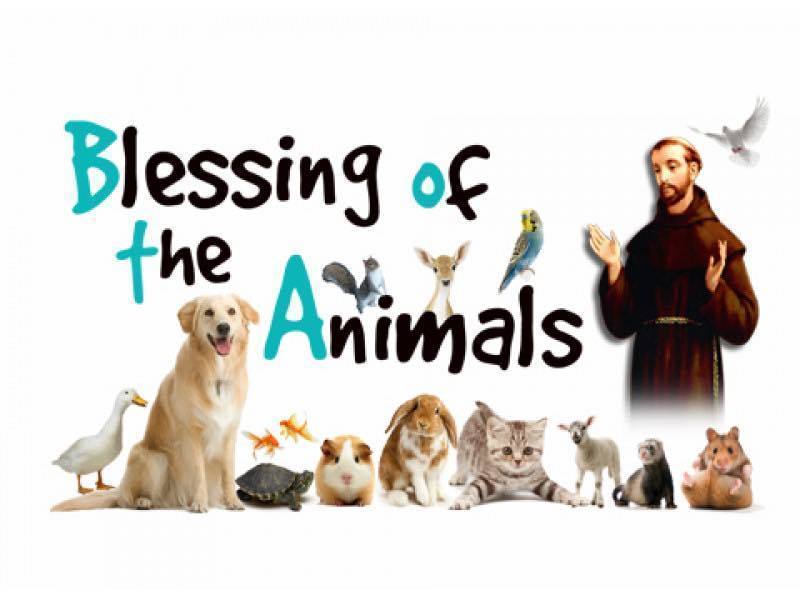 pet blessing