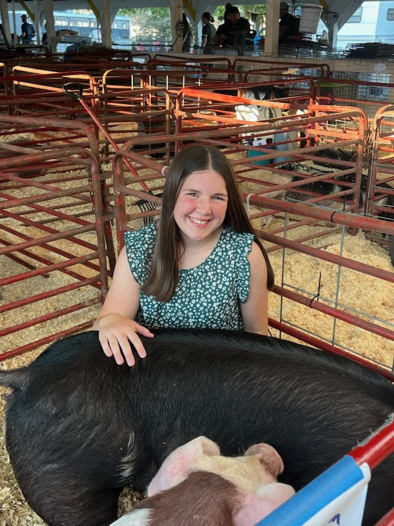 Shelby County Fair