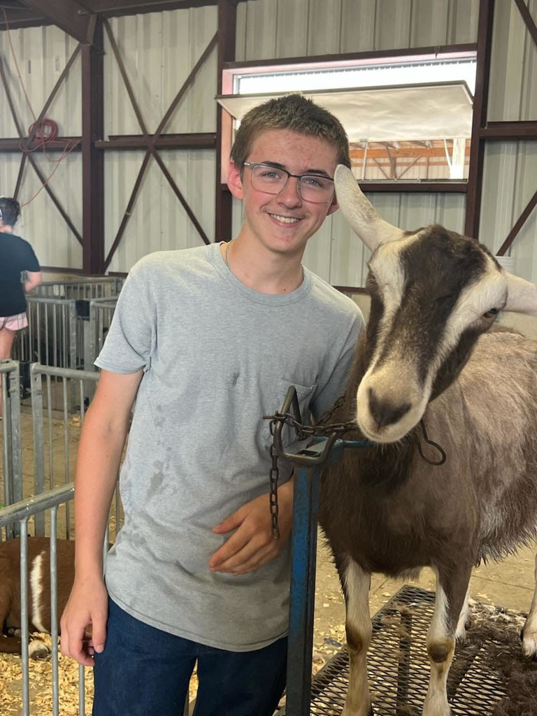 Shelby County Fair