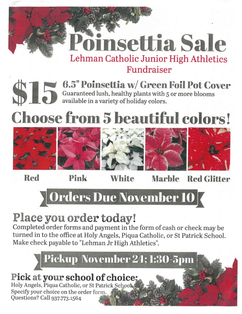 poinsettia sale
