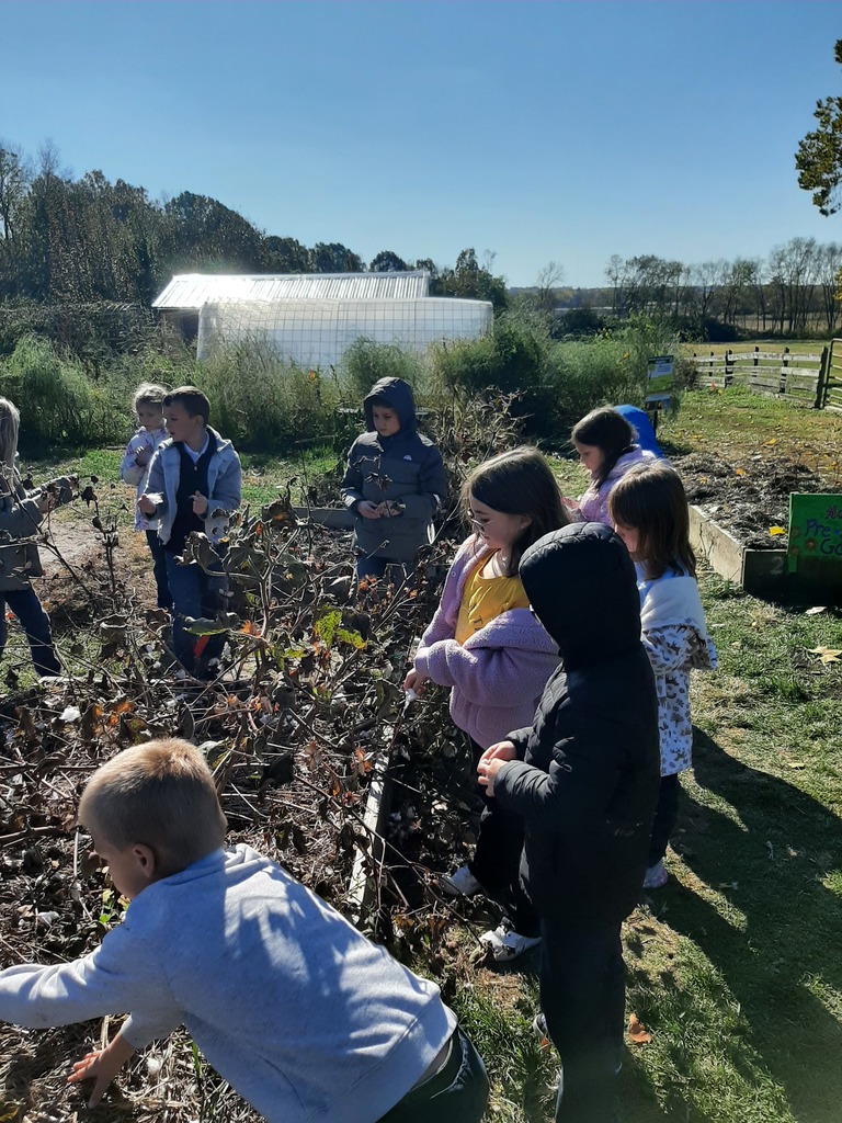 learning tree farm 2nd grade