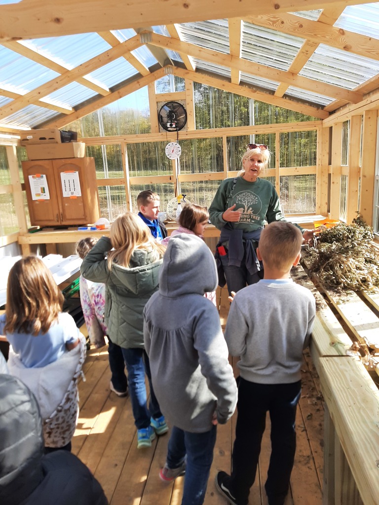 learning tree farm 2nd grade