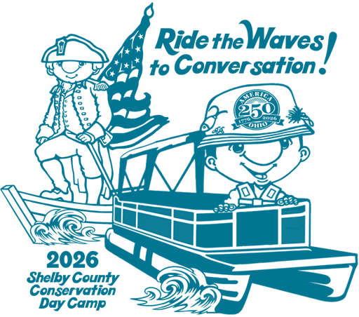 Ride the Waves