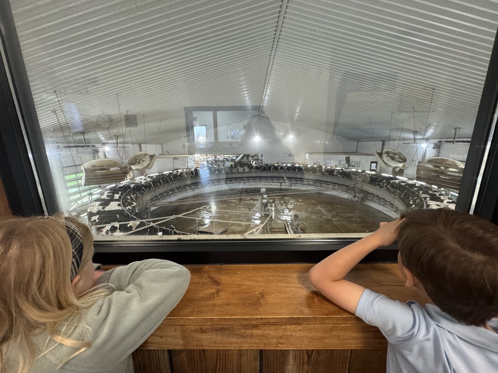 Farm Day