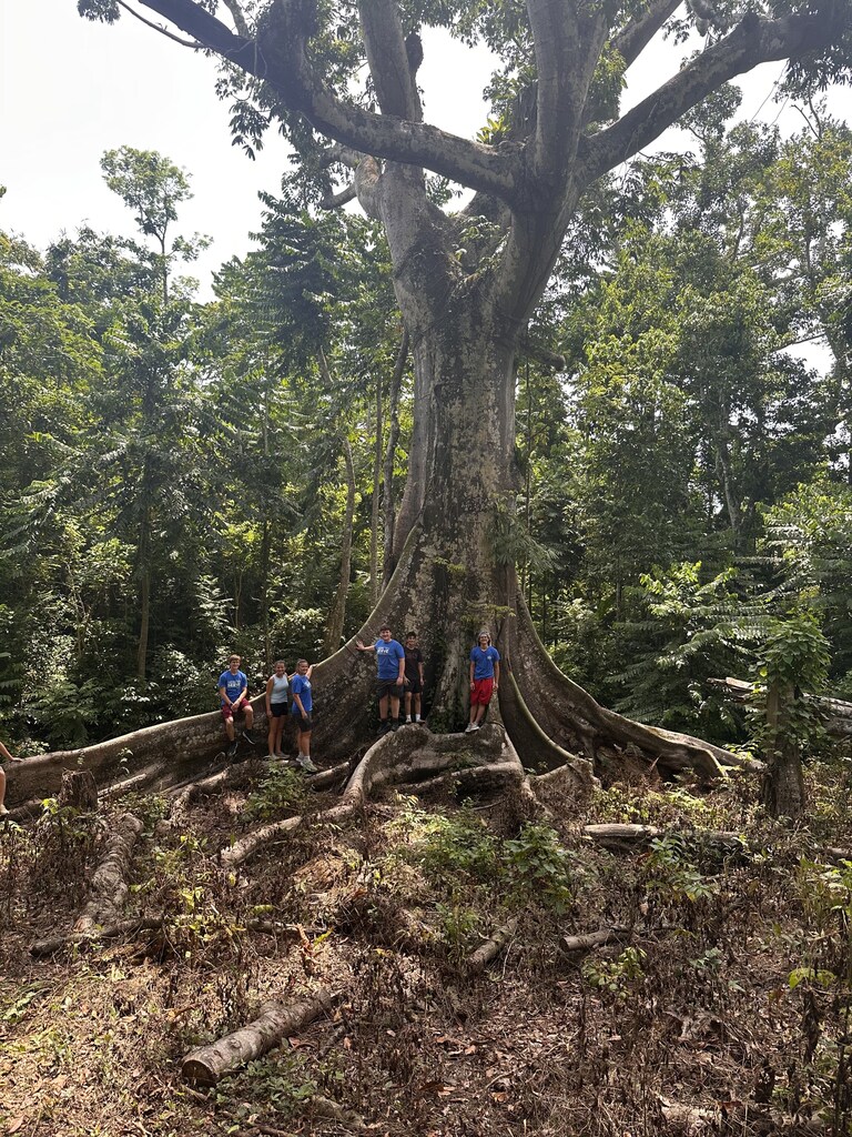 Jamaica