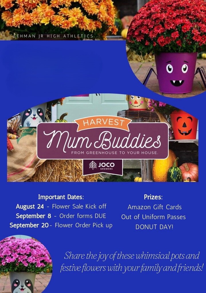 Mum Flower Sale 