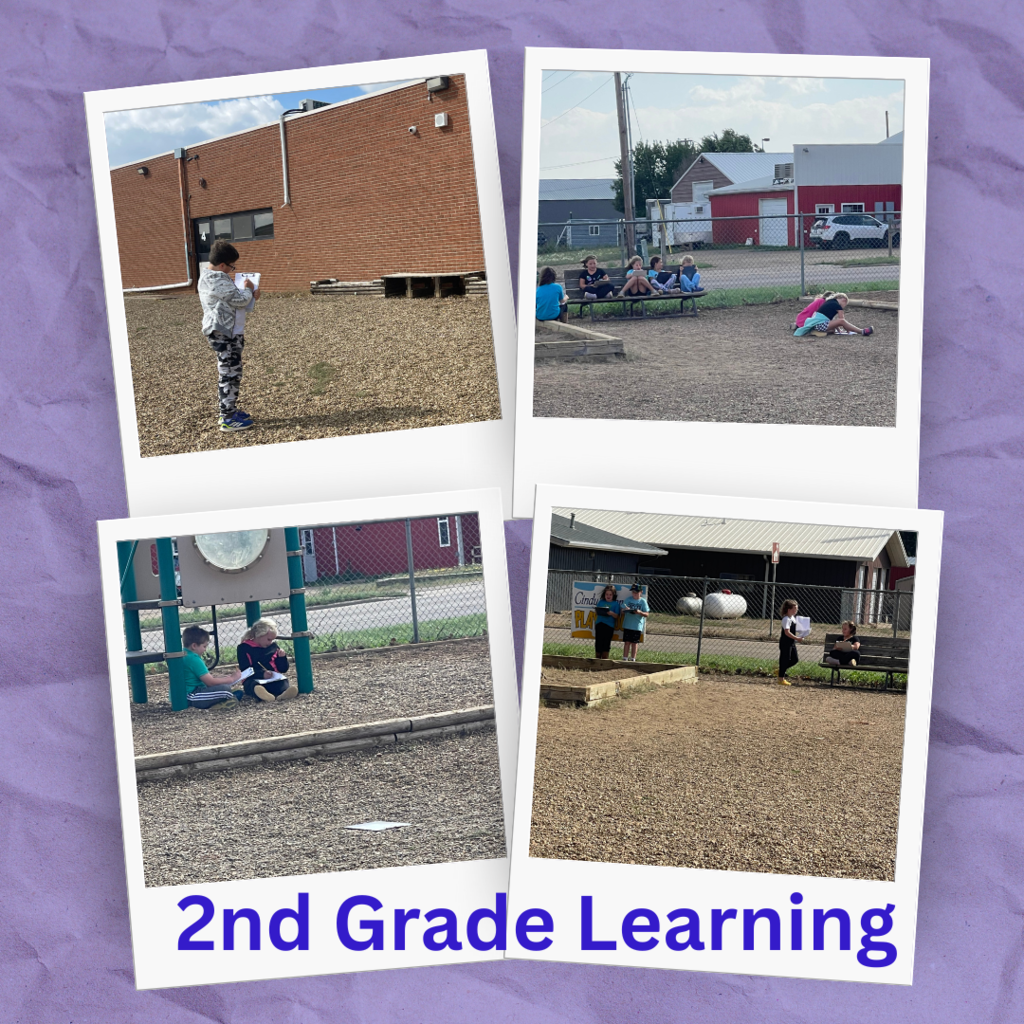 2nd grade