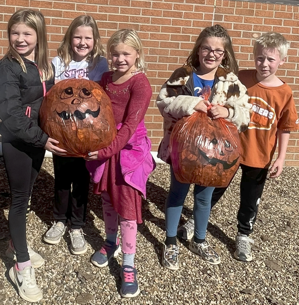 pumpkin bags