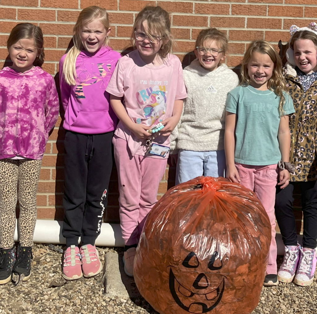 pumpkin bags