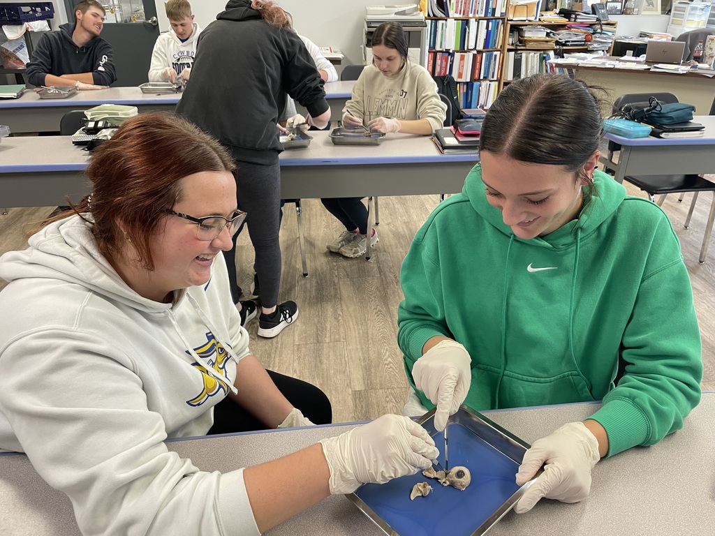 Dissecting Pig Eyes