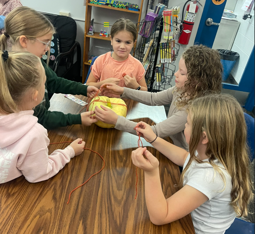 Elementary Library STEM Projects