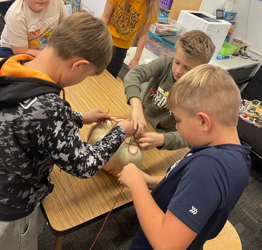 Elementary Library STEM Projects