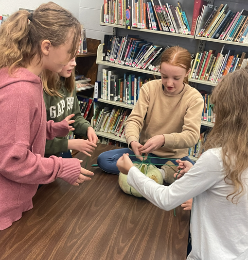 Elementary Library STEM Projects