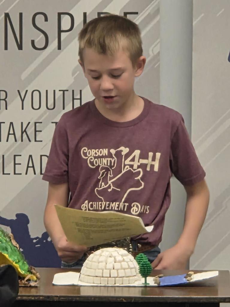 November Lemmon Leads