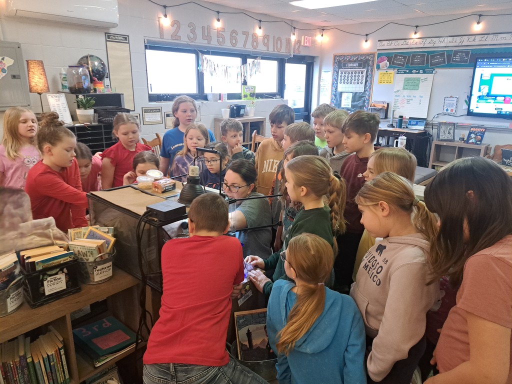 Mrs. Penfield and students taking care of gecko Beans