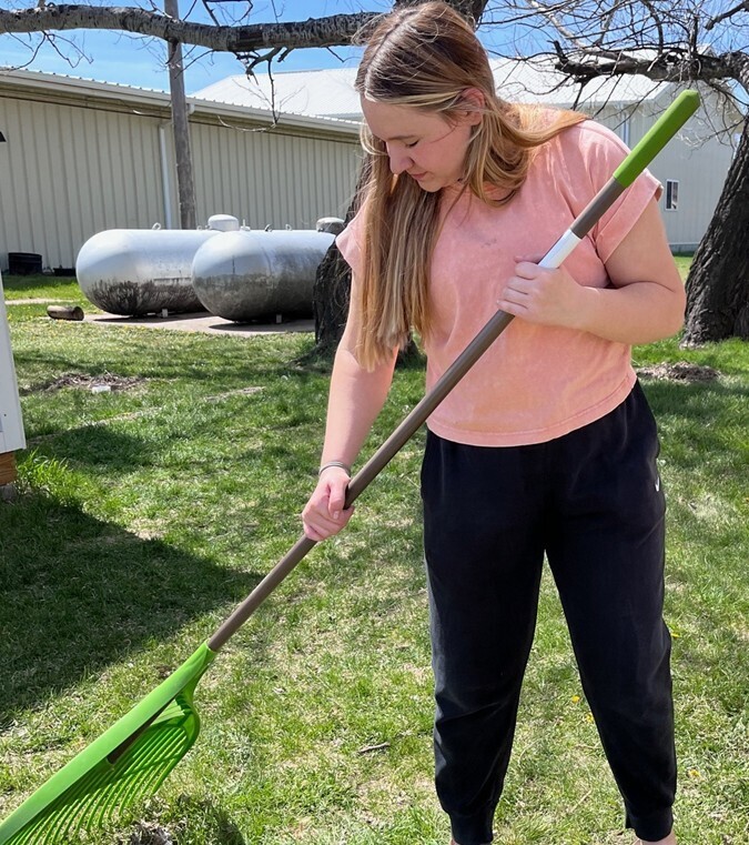 Clean up day