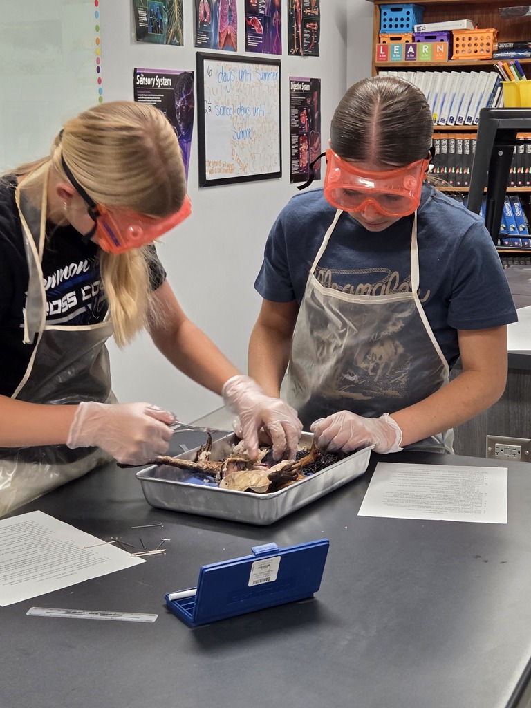 Disecting