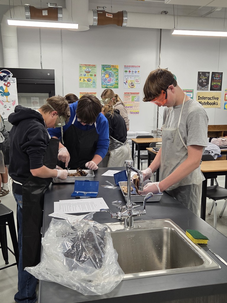Disecting