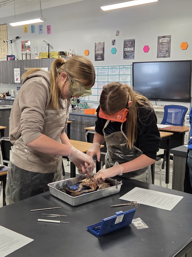 Disecting