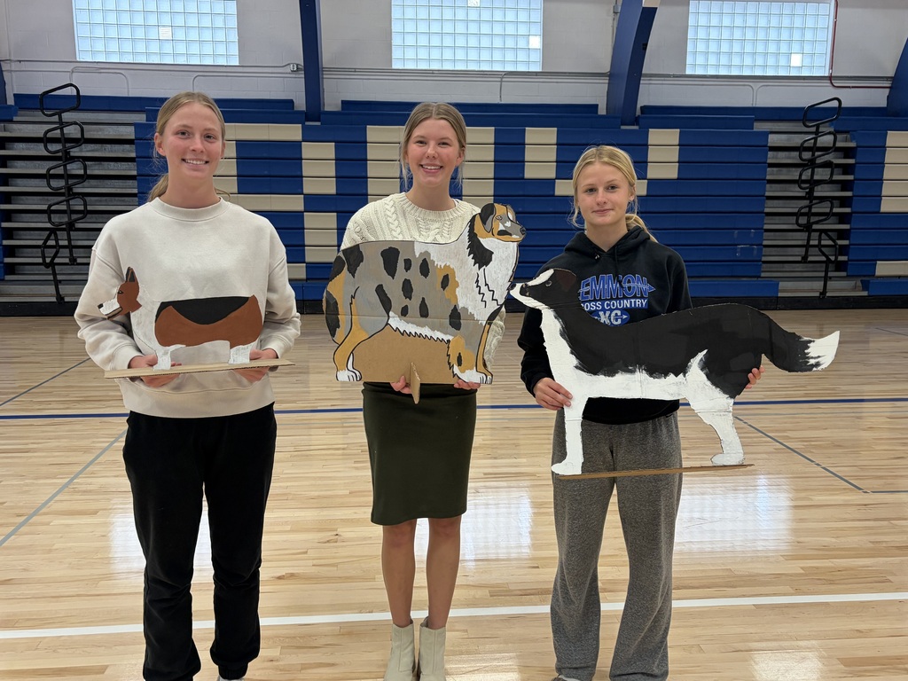 Dog Show