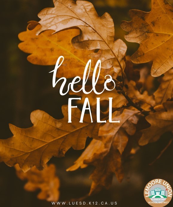 fall