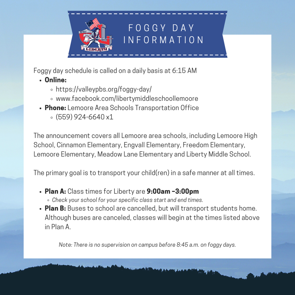 Foggy day Schedule Information