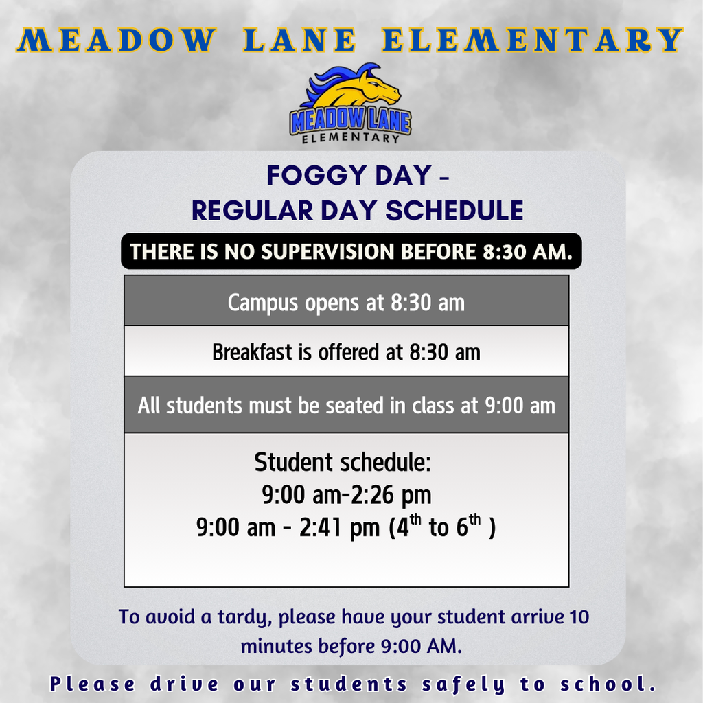 Wednesday- Foggy day Schedule