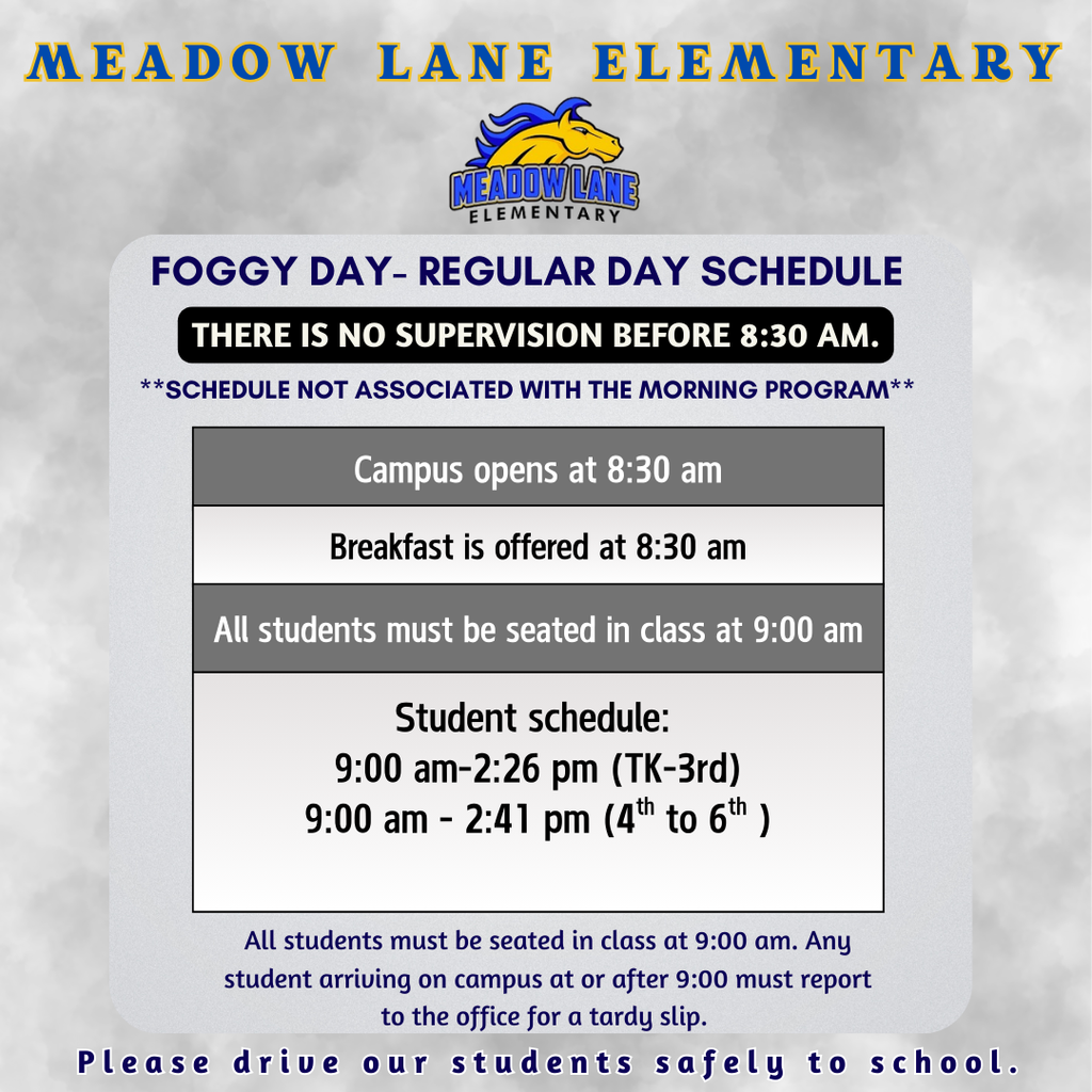 Friday Jan 23rd Foggy day #5