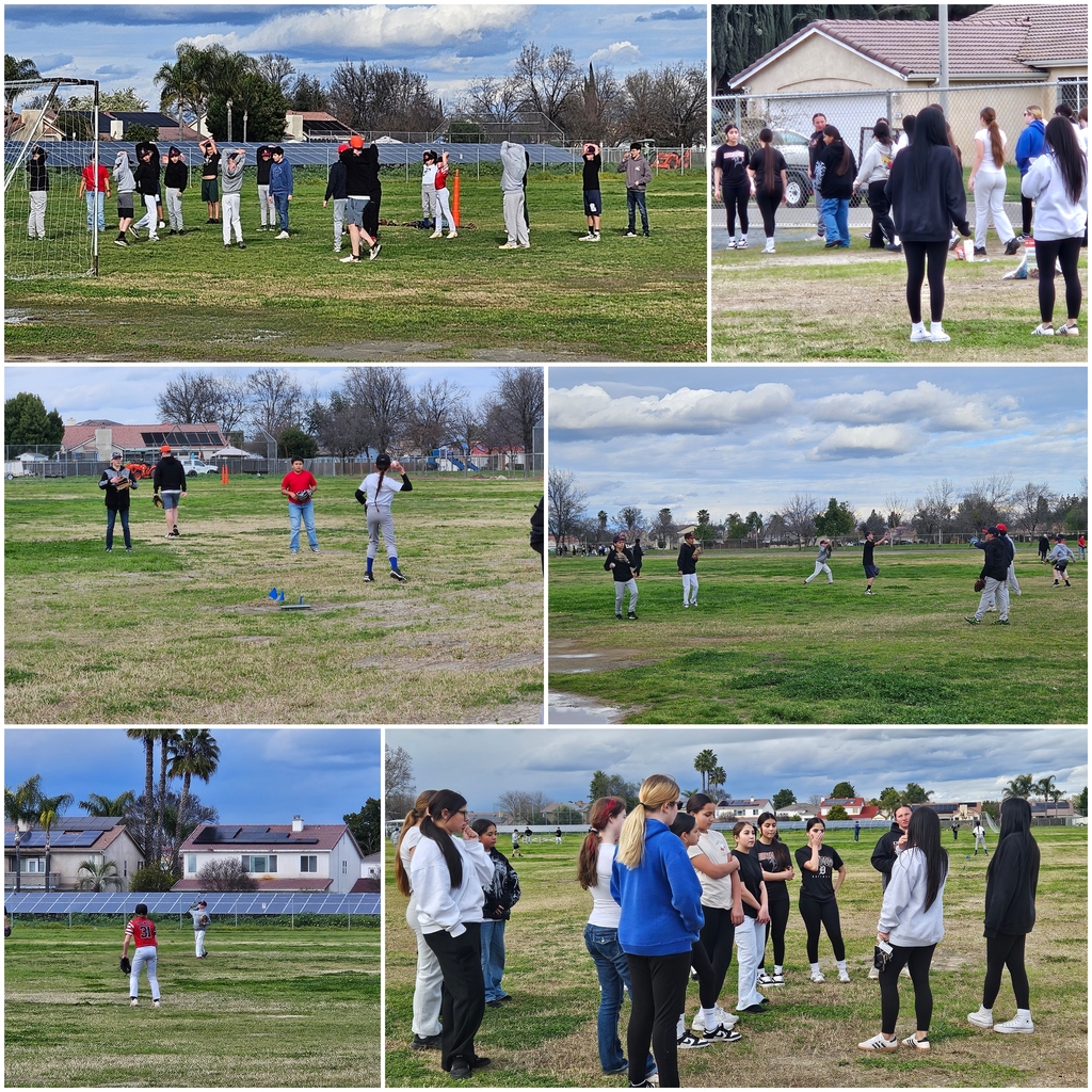 baseball softball conditioning