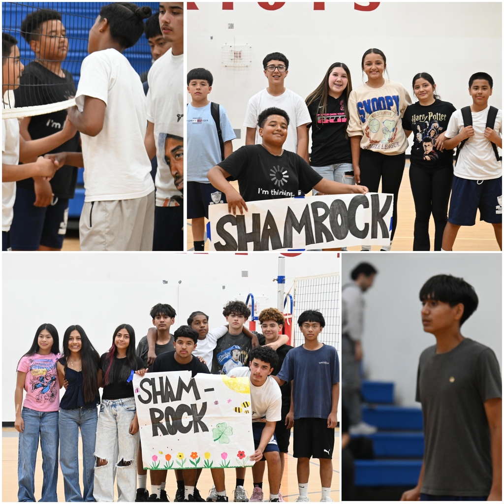 shamrock cup