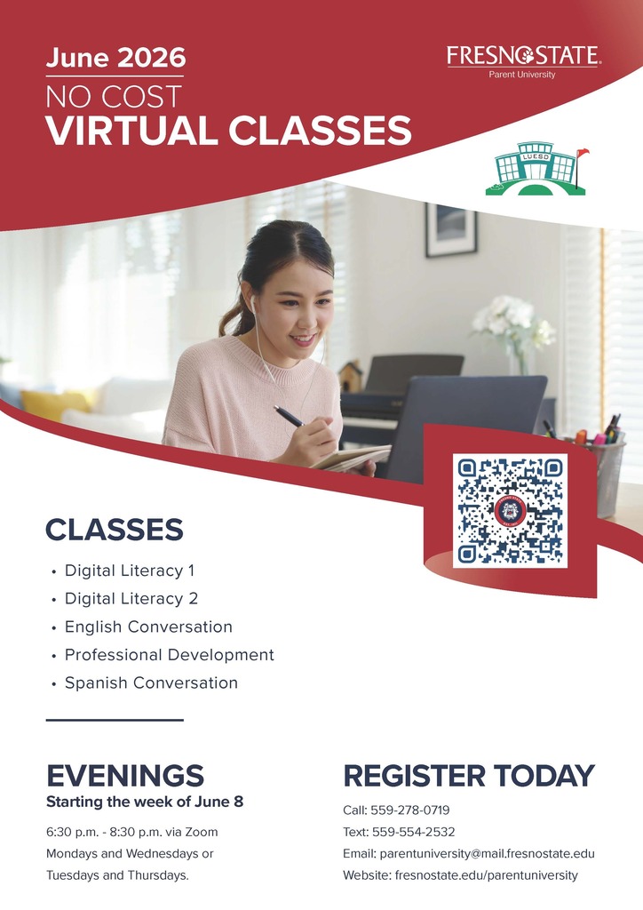 virtual classes