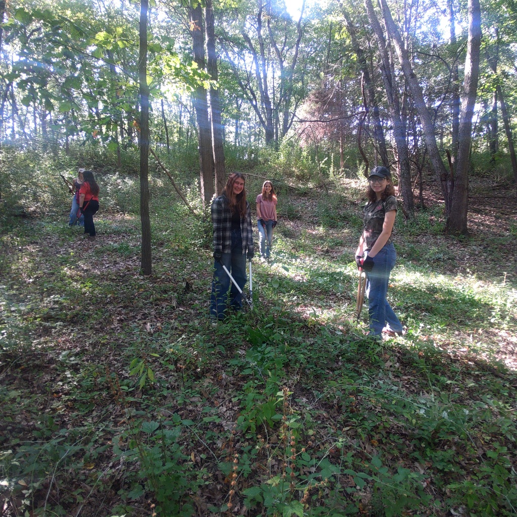 Students working hard to cut down invasive shrubs.  This picture shows a cleared area.