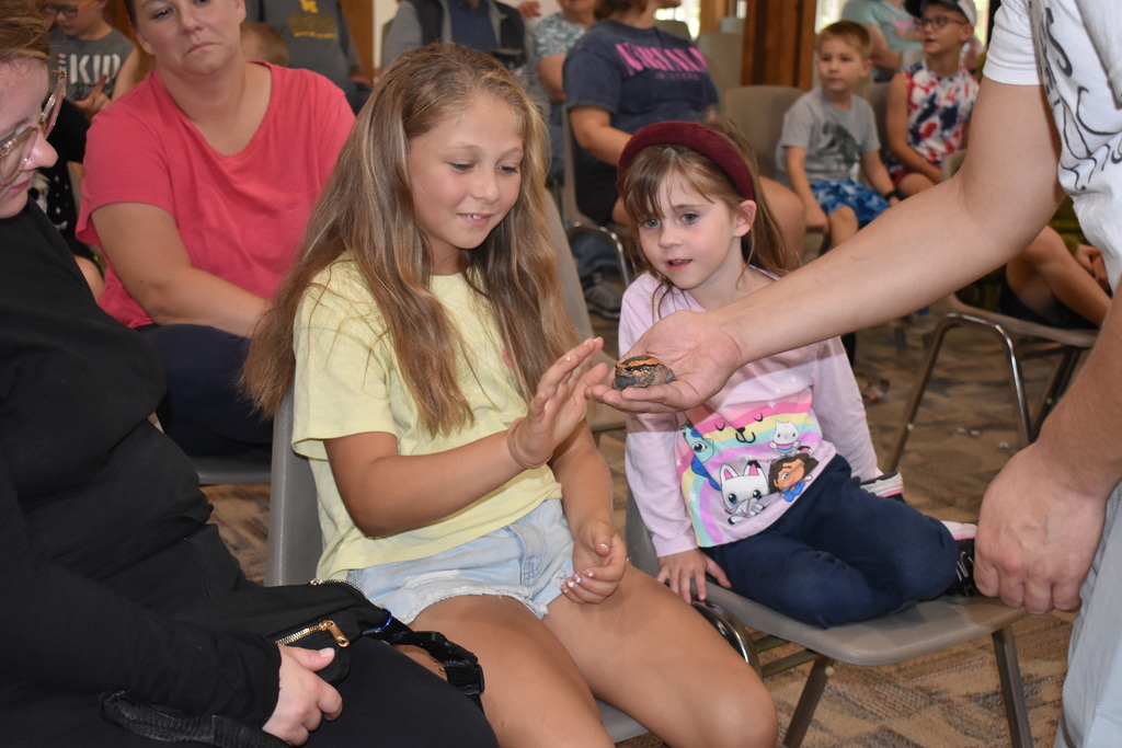 one girl petting an animal while another girl looks on