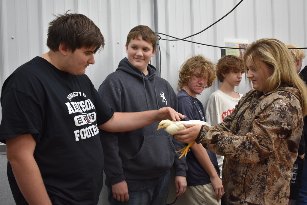 A student petting a chicken while others look on