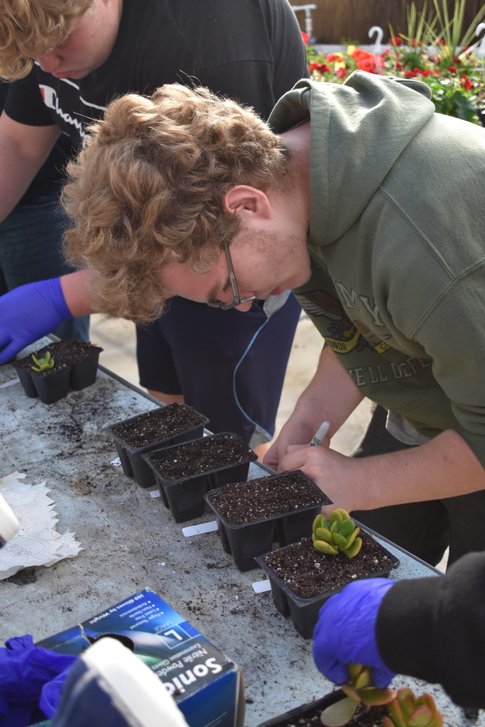A student writing his name on his plant